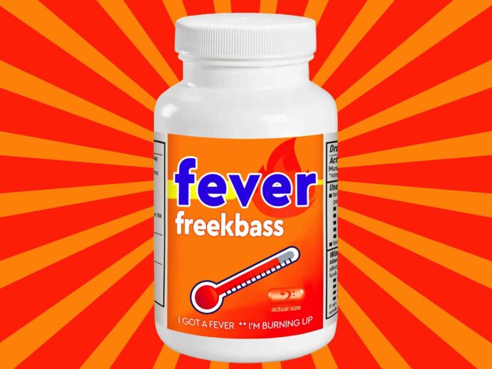 Freekbass Drops New Disco Funk House Track ‘Fever’